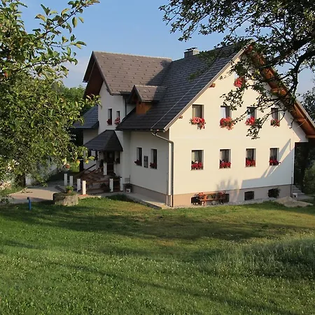Tourist Farm Ljubica Villa Poljane nad Škofjo Loko Exterior foto