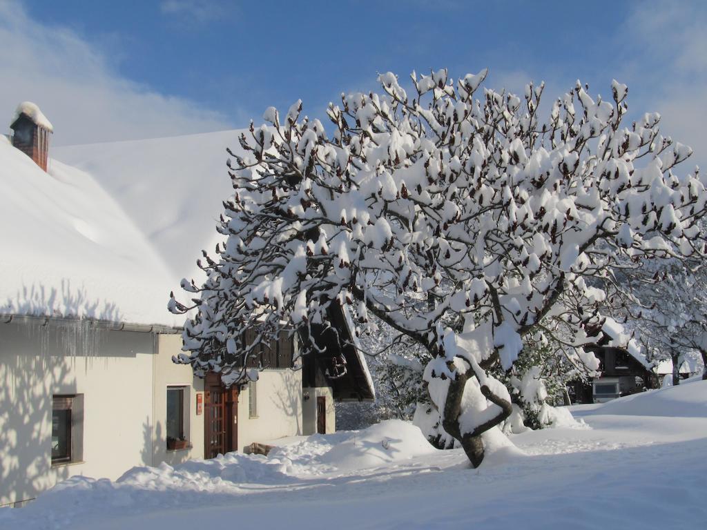 Tourist Farm Ljubica
