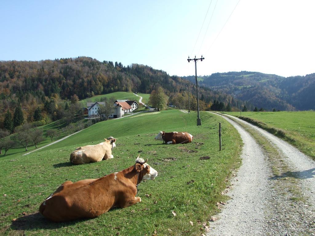 Tourist Farm Ljubica Poljane nad Škofjo Loko